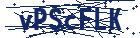 captcha here