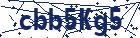 captcha here