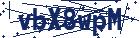 captcha here