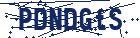 captcha here