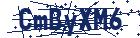 captcha here