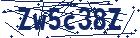 captcha here