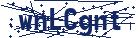 captcha here