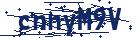 captcha here