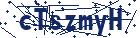 captcha here