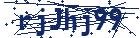 captcha here