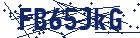 captcha here