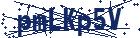 captcha here