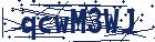 captcha here