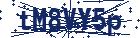 captcha here