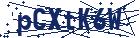 captcha here