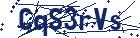 captcha here