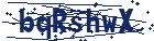 captcha here
