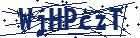 captcha here