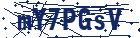 captcha here
