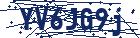 captcha here