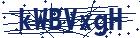 captcha here