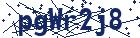 captcha here