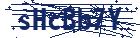 captcha here