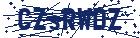 captcha here