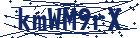 captcha here