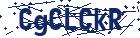 captcha here