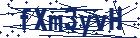 captcha here