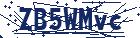 captcha here